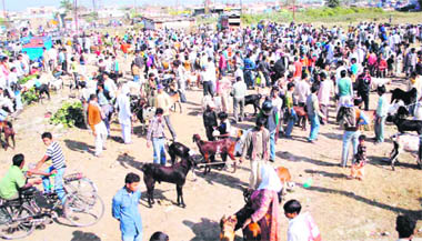 Dehradun Market