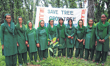 Simple Thakur - Govt model girl sr sec school chamba - Shimla Rural,  Himachal Pradesh, India